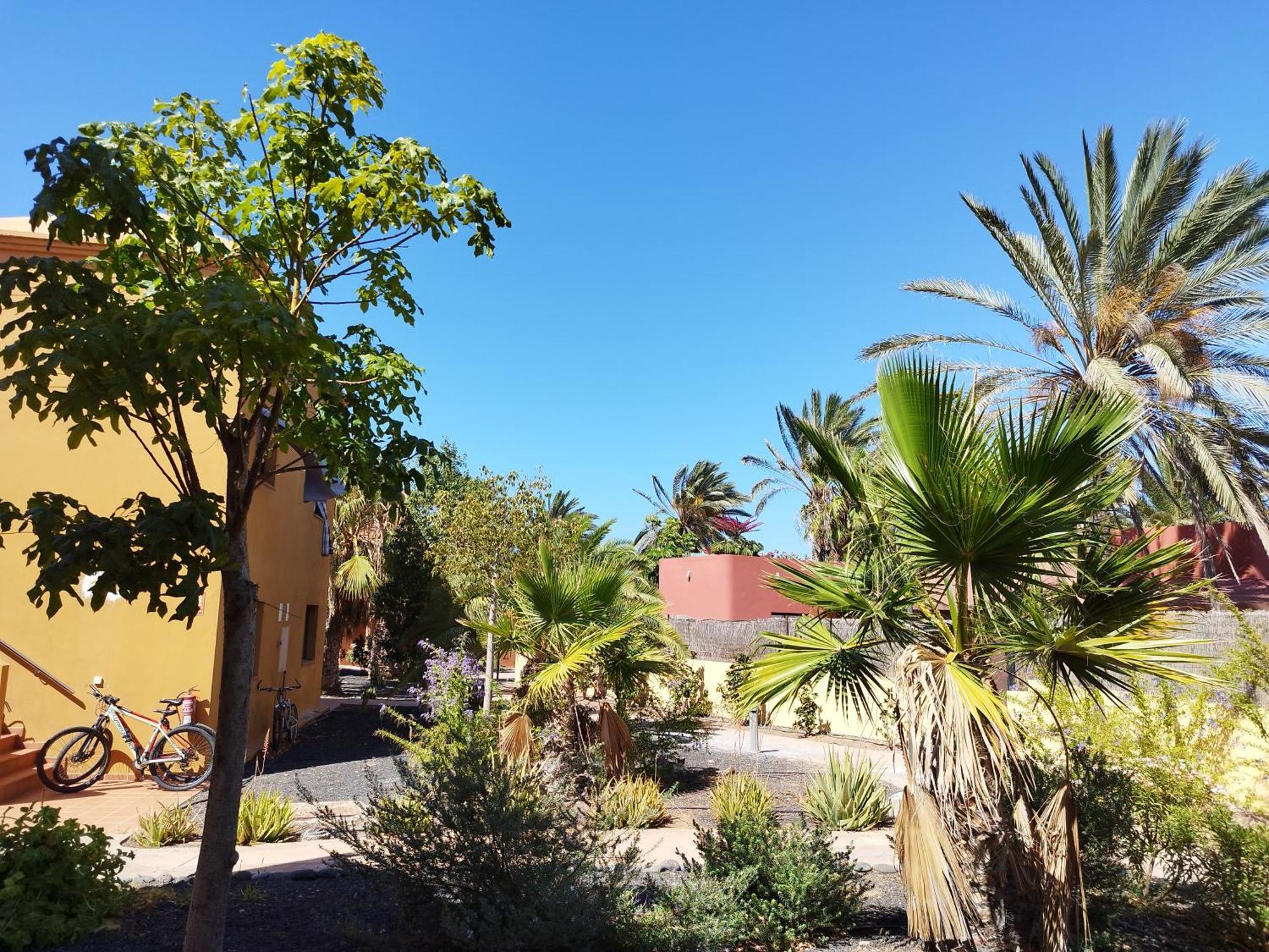 Cozy Apartment In Tamarindo 2 Corralejo Ngoại thất bức ảnh